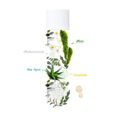 Ceramine Dual-Balance Solution Toner